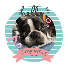 ORANGE_20210805161351