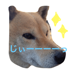 GO!GO!riku