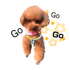 我是小霸王阿豹豹