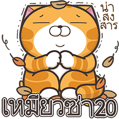 เหมียวซ่า 20 (Thai version)