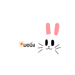 Rabbit_20210721091428