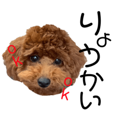 cherry_20210805161441