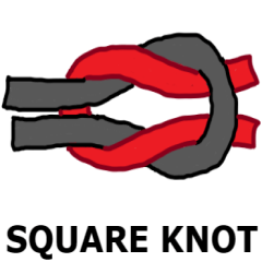 Essential Knots You Need To Know