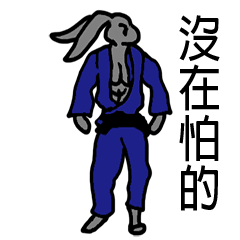Judo rabbit