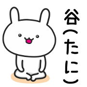 Rabbit For TANI