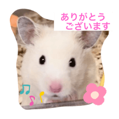 risa_20210805193443