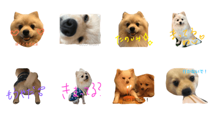 KORORO(^^)