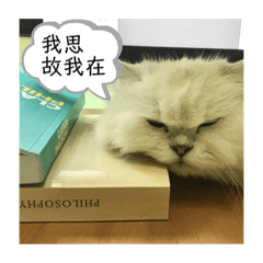 波波的生活日誌