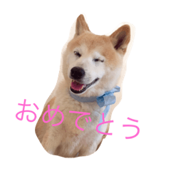 happy&nbsp; &nbsp;smile smile