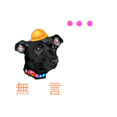 完全鞠躬盡瘁可期