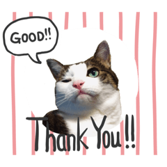 yamada_20210806005911