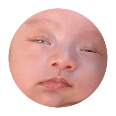 毛毛表情包趴兔