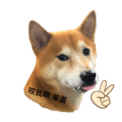 寇小弟