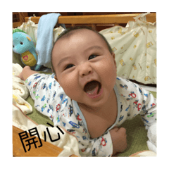 小肉貓