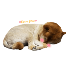 Ruby_20210806021949 - Stiker LINE | LINE STORE