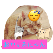 neko0708