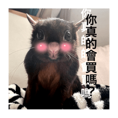 鼠吾