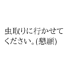 虫好き(日常)