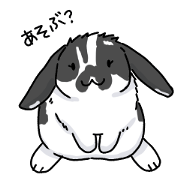 Hime-chan lop-eared rabbit