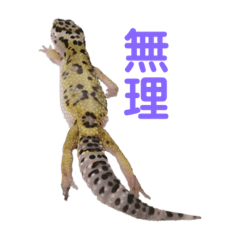 ponzu_20210806104537