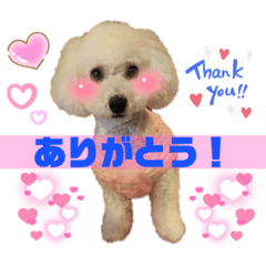 yuka_20210806025041