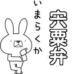 BIG Dialect rabbit[sisou]