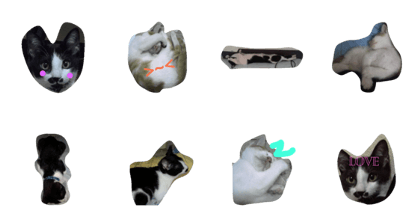 cat&cat&Love