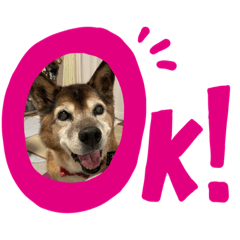 ayumi_20210806131016