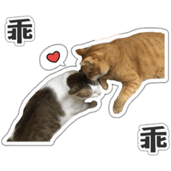 茶茶全集