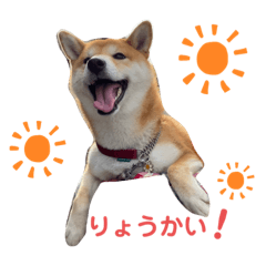 Tomomi_20210806004321