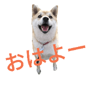 miru-one