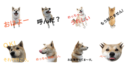 miru-one