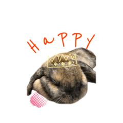 Rabbit daily life conversation stamp