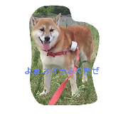 Fuku HappyWalking