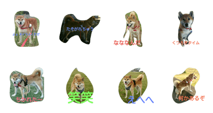 Fuku HappyWalking