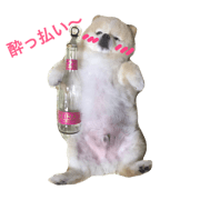 Pomeranianyu