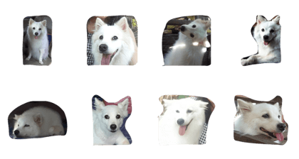 tang_mey