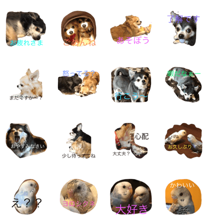 love dog &bird