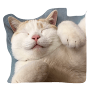 stamps of my cat