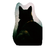 veryveryCat