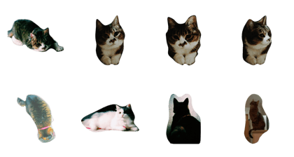 veryveryCat