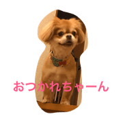 DANGODON!
