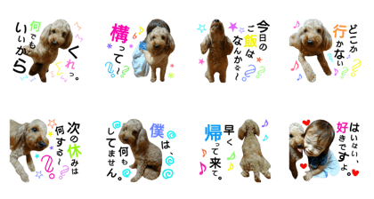 _Rui's stamp.