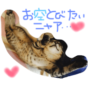 loverycat