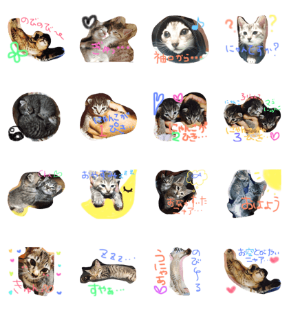 loverycat