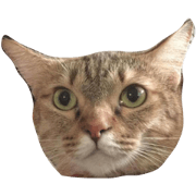 Tubtim Cat