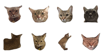 Tubtim Cat