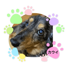 miki_20210806120615