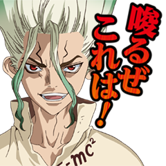 Dr. Stone