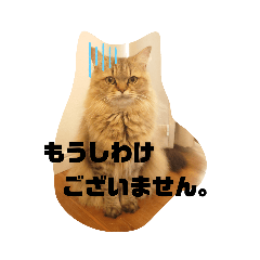 hikari_20210806122607